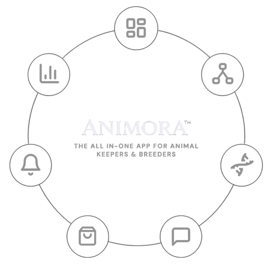 Animora, the all-in-one app for animal keepers and breeders